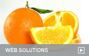 Web Solutions